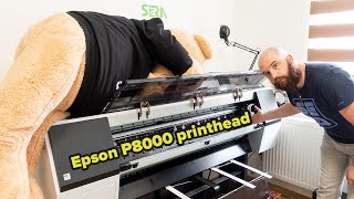 Unboxing Cap De Printare Epson P8000