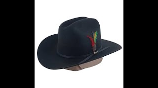 Texana 20X Horma Sinaloa Color Negro con Plumas marca Morcon Hats