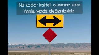 Yanlış Yerde Değerinizi Bilen Olmaz Iş Ğerli