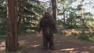 Incredible Crew  The Worst Thing That Could Ever Happen To You During A Hike