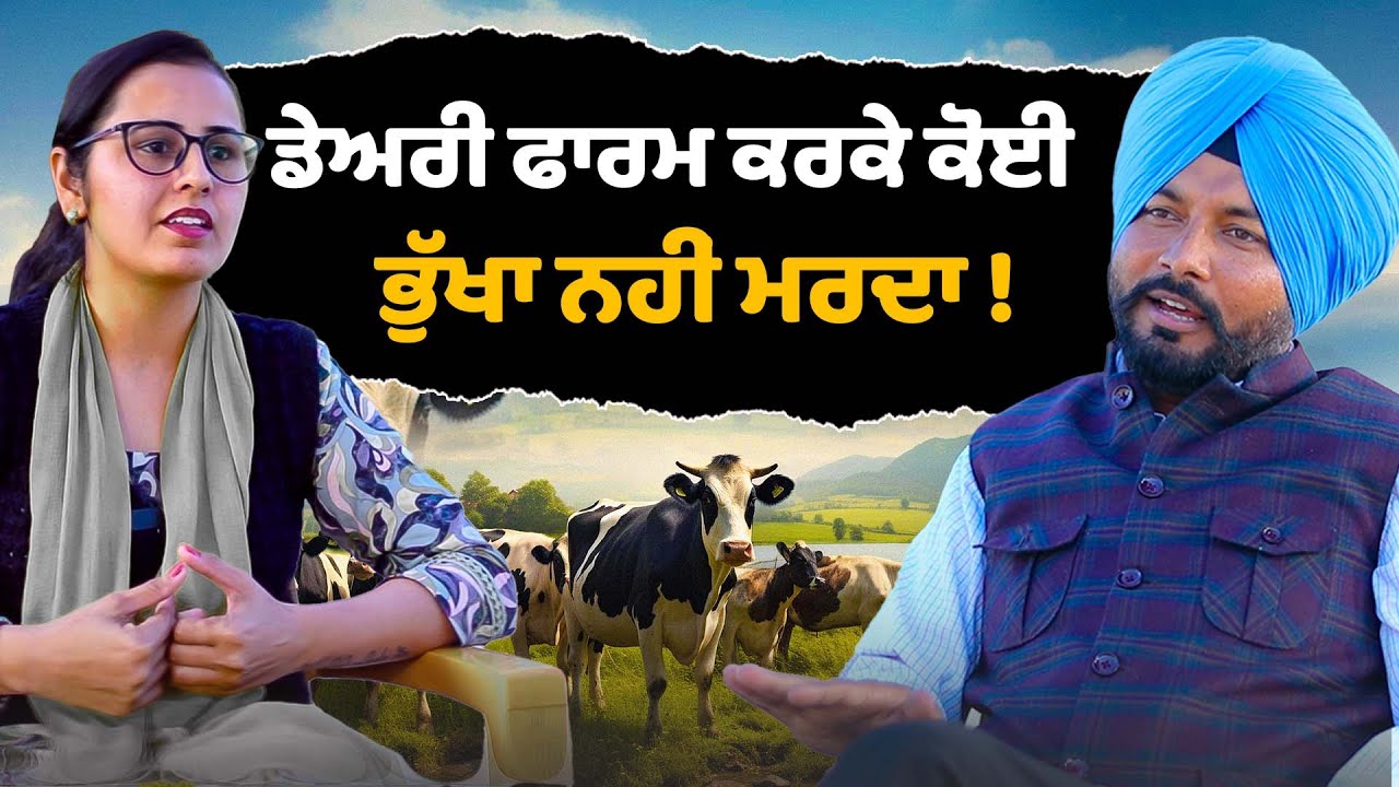Dairy Farm ਕਰਕੇ ਕੋਈ ਭੁੱਖਾ ਨਹੀਂ ਰਹਿੰਦਾਂ ! dairy farm business | how to start dairy farm | Sirlekh
