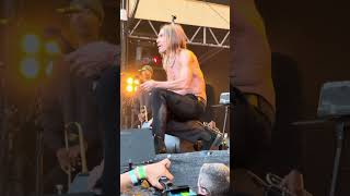 🔥👕 Red Hot Chili Peppers &amp; Iggy Pop – gravity seems to ignore this man completely