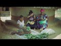 Batsirai Shasha Ft Diana Samukange -Tsviyo Tsviyo(Official Video) NAXO Films 2019