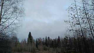 Иду с охоты к избушке.