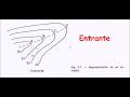 Curvas de Nivel: Accidentes del Terreno - Cuenca Hidrográfica