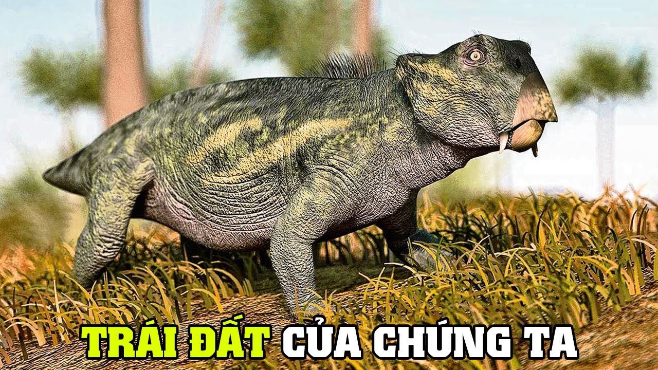 TRÁI ĐẤT - Quá Trình Hình Thành Sự Sống | Khám Phá Thế Giới Hoang Dã