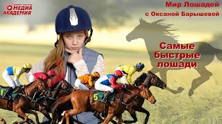 О самых быстрых породах лошадей в мире | Мир лошадей с Оксаной Барышевой