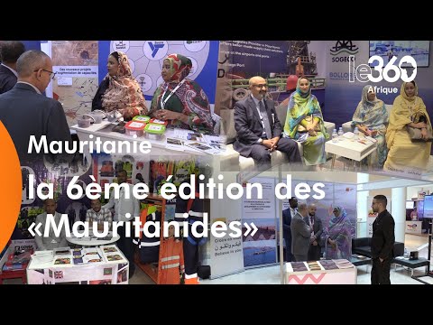 Mauritanie: Les importantes potentialités minières et d'hydrocarbures