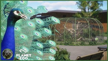 Indian Peafowl Realistic Aviary | House of Tropics | Planet Zoo