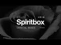 Spiritbox - Crystal Roses (Official Visualizer)