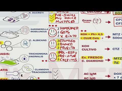 tipos de enfermedades ginecológicas en las mujeres.