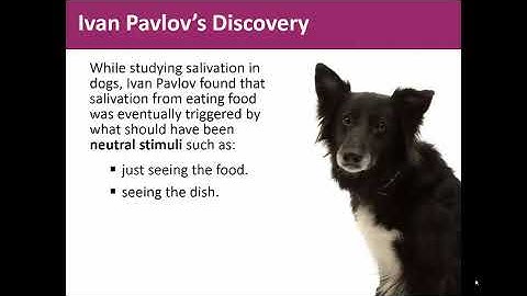 Module 20 - Basic Learning Principles and Classic Conditioning