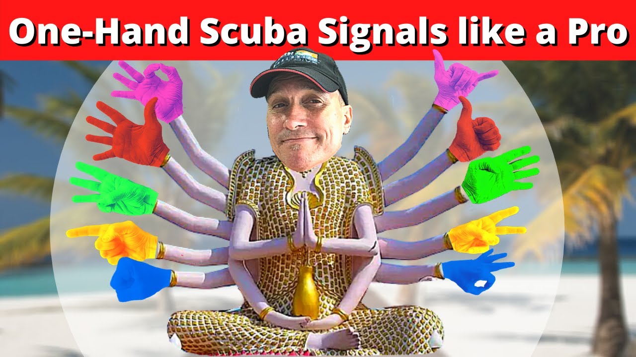 Onehanded Scuba Signals Signal Numbers like a Pro (How Divers Communicate, Dive Signals