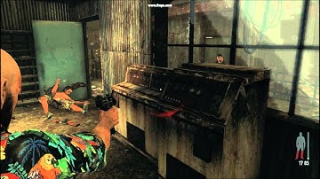 Max Payne 3 cover shaking/shivering/stuttering glitch