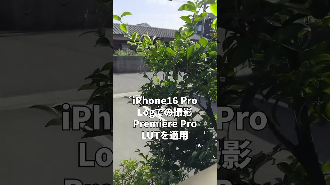 Pro max アイフォン 13pro iphone13pro シルバー 白っぽい Iphone16