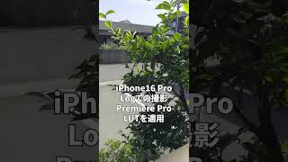 【一時停止推奨】iPhone 16 Pro ProResエンコーディング設定 Logでの撮影検証動画 通常→Log→LUT の比較 #動画マーケティングスクール #iphone16pro #動画内製化