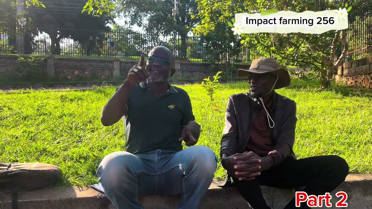 Part 2: More insights into goat farming: Embuzi zifuna kilalu