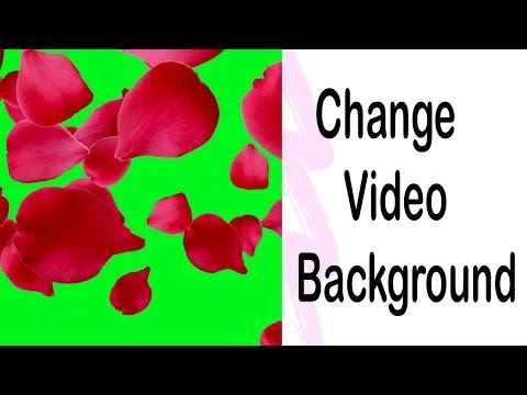 video-background-change-|-how-to-change-video-background