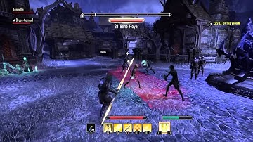 The Elder Scrolls Online almost game breaking bug