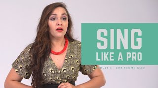 Sing Like a Pro - Module 4 Sesotho - Che Scompiglio