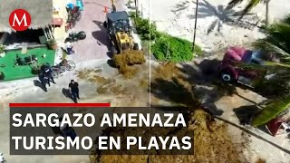 Record Sargassum in Quintana Roo: Early January Arrival Affects Tourism and Beaches