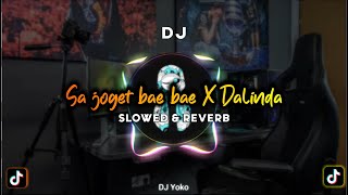 DJ Sa Joget Bae Bae X Dalinda | Slowed & Reverb | Bang Way Ft Danil Brave