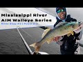Mississippi wingdam walleye stop 3