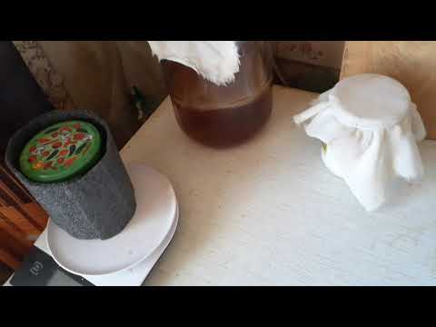 Чайный грибок из фикспрайса с плесенью,в чём причина,и как устранить плесень.