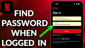 How To See Netflix Password While Logged In