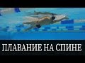 КАК ПЛАВАТЬ НА СПИНЕ? ТЕХНИКА ДЛЯ НАЧИНАЮЩИХ @Swimmate.ru