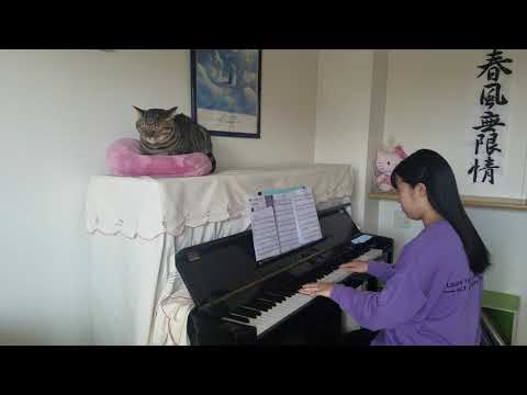King Gnu /Teenagers  Forever         ピアノ       ～猫と一緒～