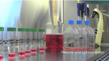 3D Cell Culture with the bioWiggler™