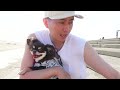 夏だ、海だ！！