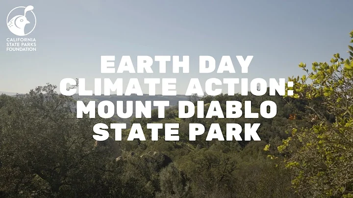 Earth Day Climate Action: Rachel Norton