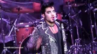 Adam Lambert Black Cat cover Revention  Center Houston 10282015