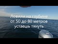 Рыбалка на Тихом океане  21 Ноября 2020. Bodega Bay, Rock fishing!