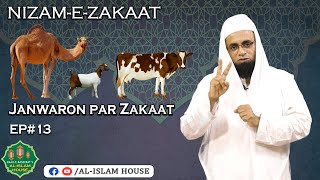 Nizaam-e-Zakaat | Janwaroon Par Zakaat | Zakaat On Animals | Episode 13