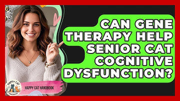 Can Gene Therapy Help Senior Cat Cognitive Dysfunction? - Happy Cat Handbook