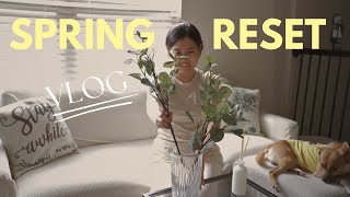 VLOG: Spring Reset 🌸& Sharing the Roots of My Youtube Story