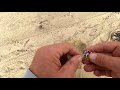 Metal detecting with friend in Will Ragger state beach