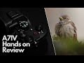 Sony A7 IV - HANDS ON REVIEW - Nature // Bird Eye-AF