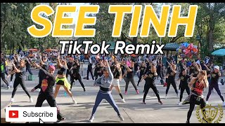 SEE TINH (TikTok Viral) by Hoang Thuy Linh | TikTok Viral | TikTok Remix | Zumba | Dance Fitness