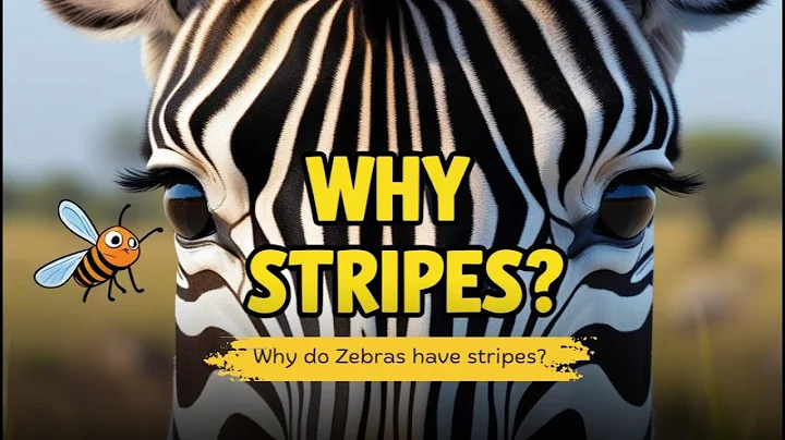 🦓 Why Do Zebras Have Stripes? The Answer Will Surprise You! 🤯