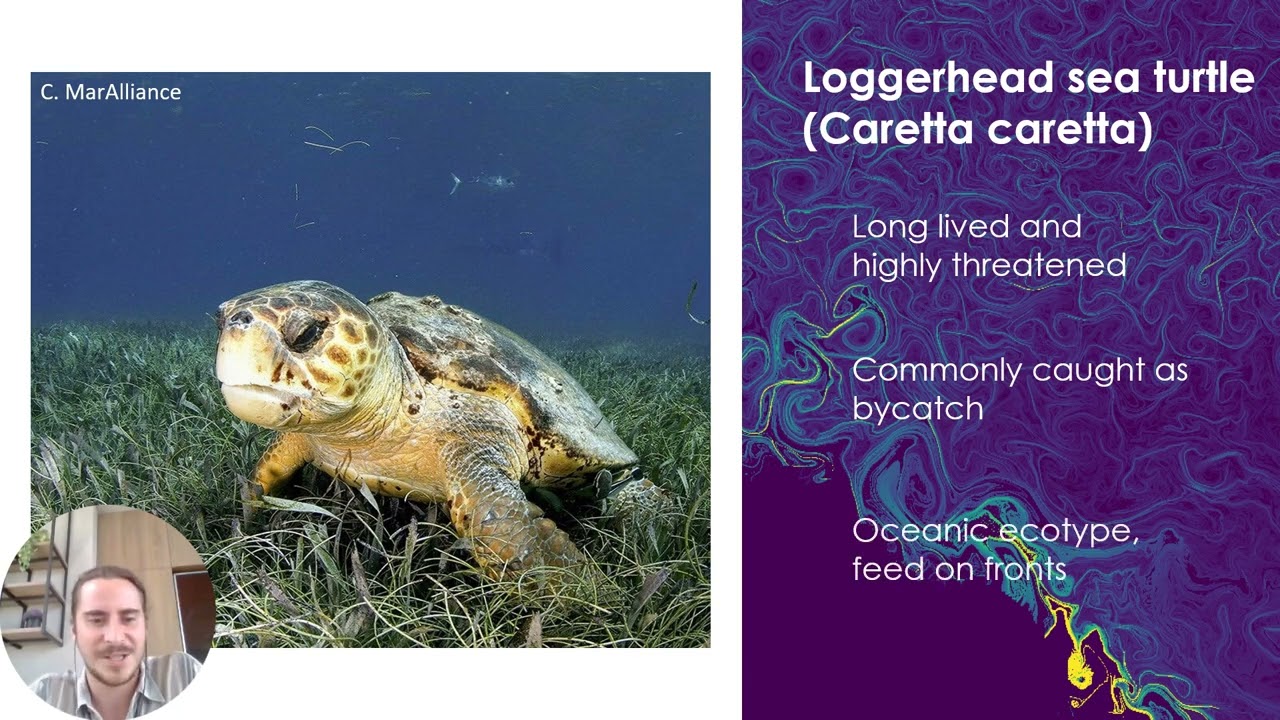 Ignacio de Saint-Malo | Conservation in a Dynamic Ocean