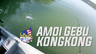 AMOI GEBU KONGKONG!!!