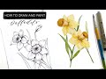 Watercolour Daffodil: How To Draw And Paint MARCH'S Birth Month Flower