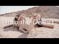 Into the Desert | 在沙漠中舒緩放鬆 | 異域風情的音樂配上廣袤遼闊的沙漠，帶你走進另一種世界