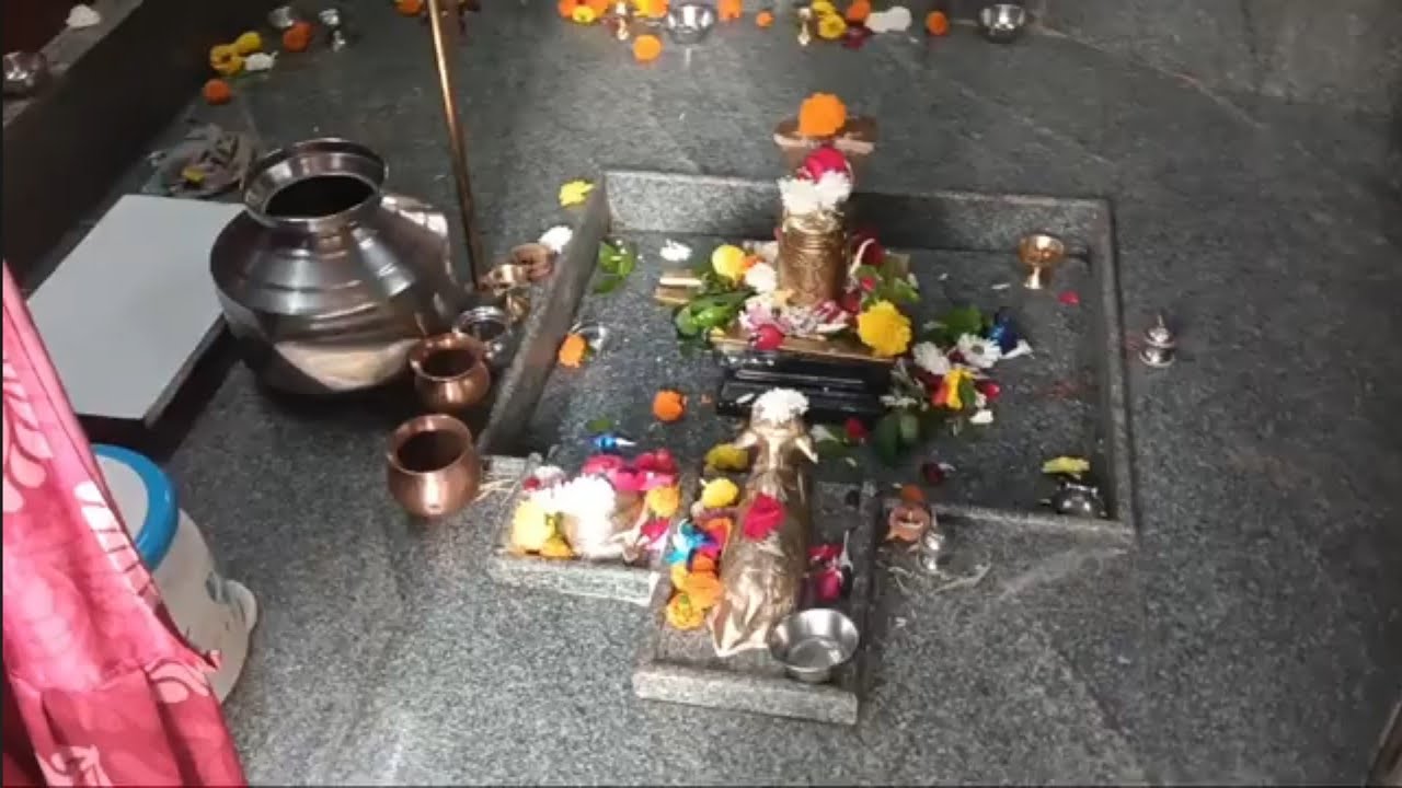 Last Somwar | Mahadev Darshan 🙏