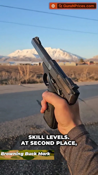 🏆 Top 3 Best .22 LR Pistols On The Market 2025!