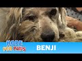 Hope For Paws: Benji was homeless his whole life... WATCH what happens next!  Please share.